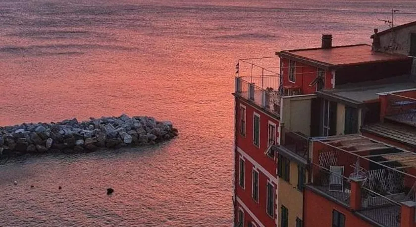Pepita di Rio - Image 1