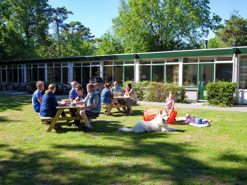 Spacious house with barbecue and fireplace, close to Assen - Image 1