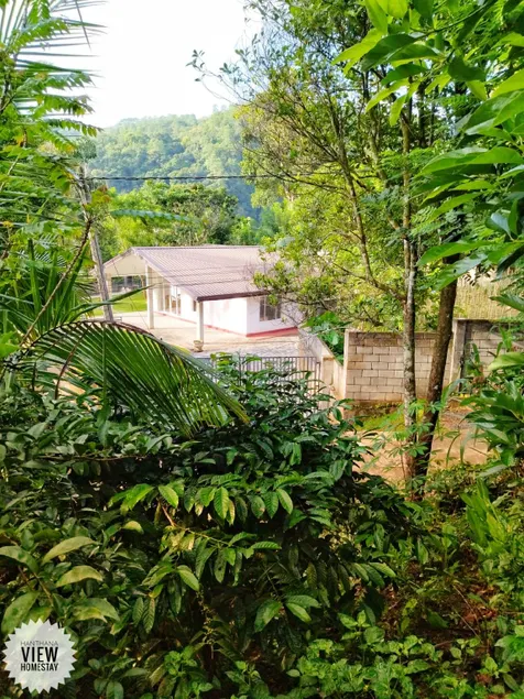 Hanthana View Homestay - Image 1