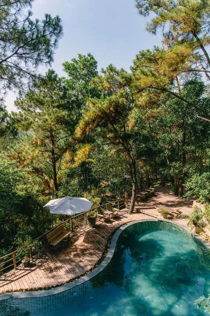 U Lesa Retreat - Nhà Bên Rừng - Image 1