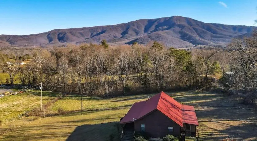 Beautiful View! Log cabin,Fireplace,Hot Tub,Arcade,Pool,Fishing - Image 1