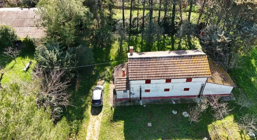 Senigallia, casale immerso nel verde delle colline - SE143 - Image 1