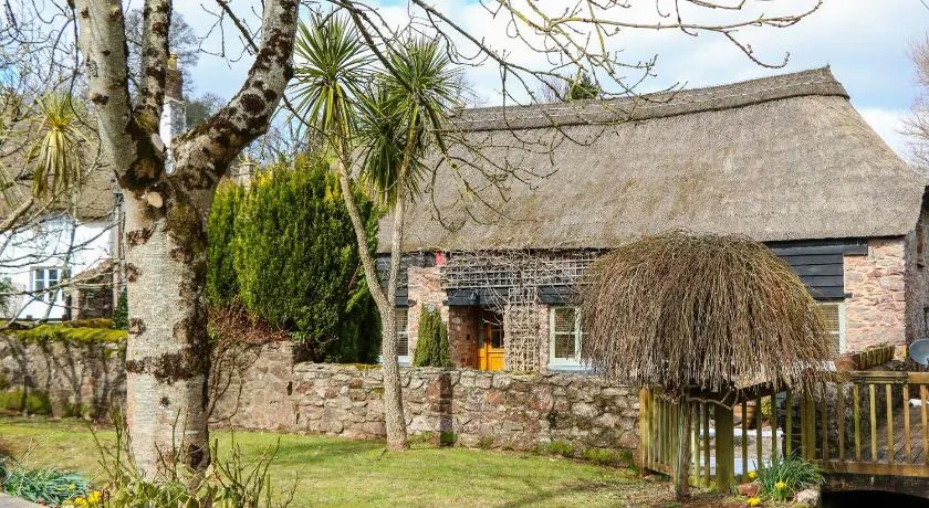Meadow Thatch - Image 1