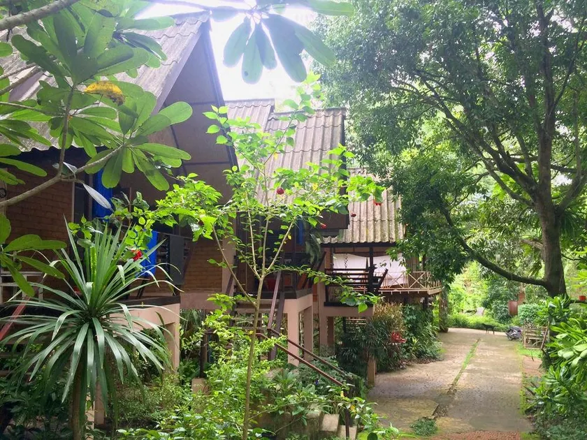 Misty View Guesthouse - Image 1