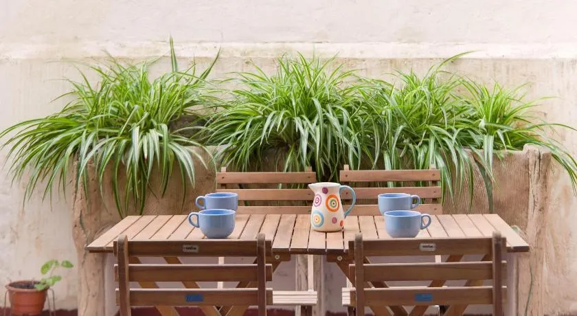 Apartamento Comte Borrell - Image 1