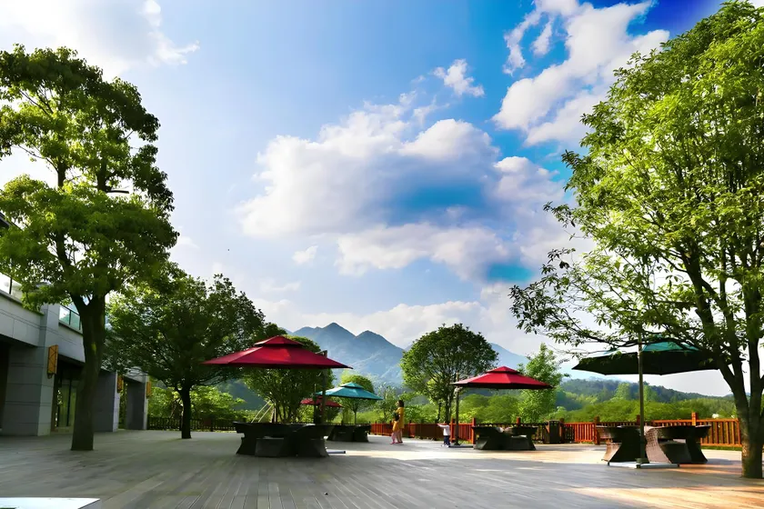 Mount Fanjing Borui Resort - Image 1