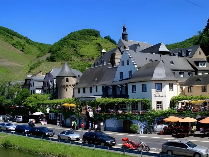 Hotel Haus Burg Metternich - Image 1