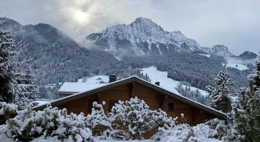 Apartment in the best location of Rougemont,Gstaad - Image 1