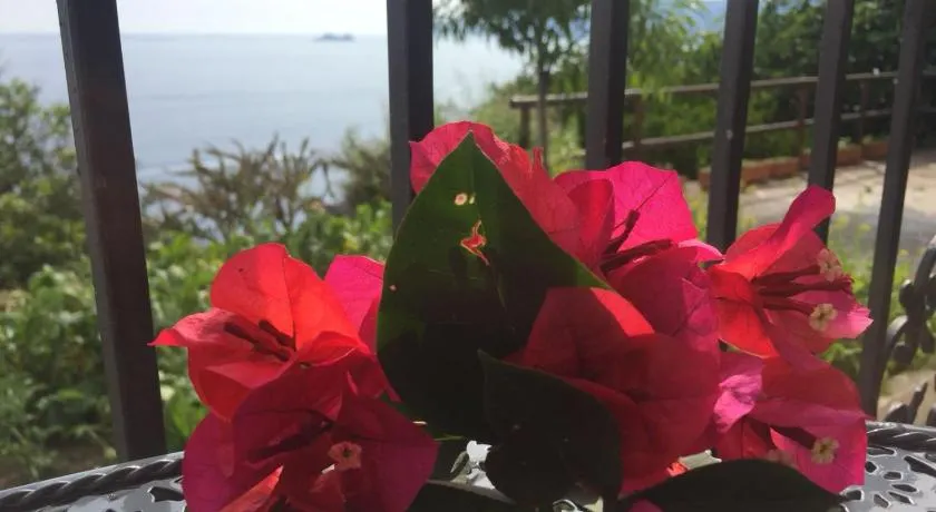 Une terrasse sur le paradis de la mer de la côte amalfitaine - Image 1