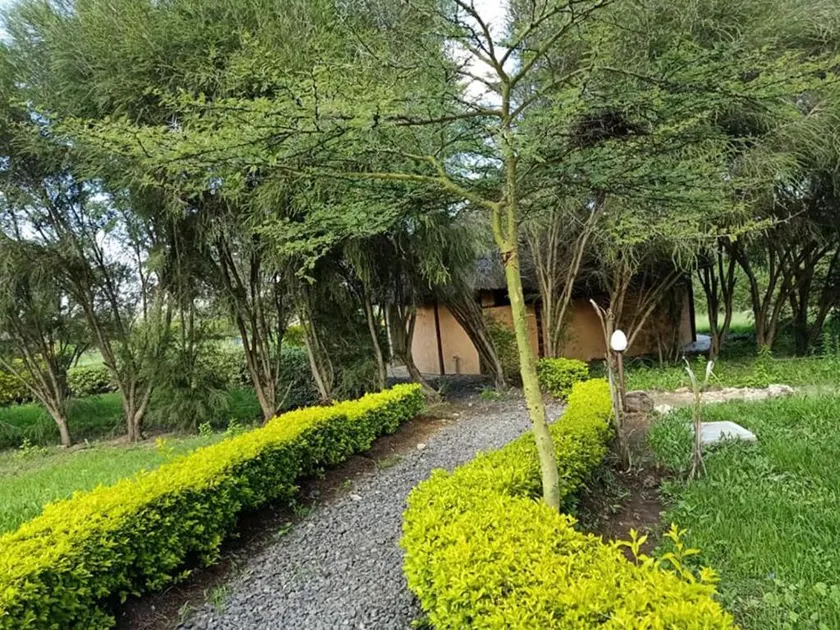 The Great Circle Lodge - Image 1