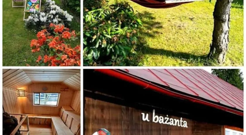 u bażanta - Image 1