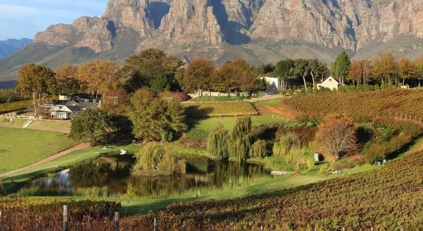 Alluvia Boutique Winery & Luxury Accommodation - Image 1