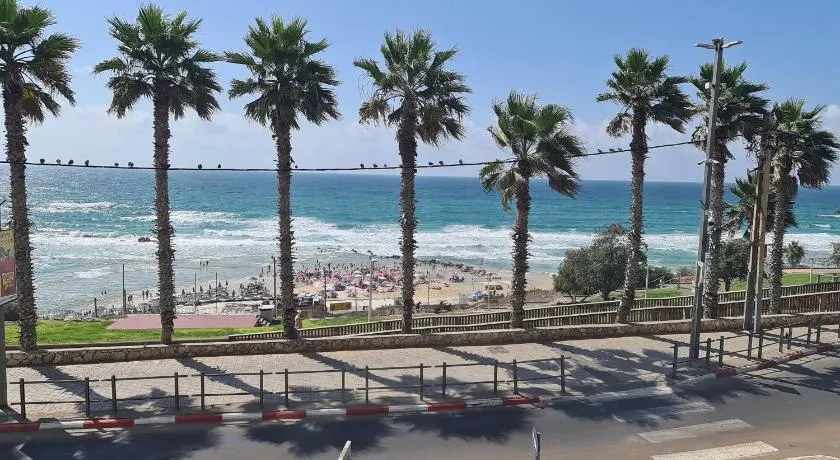 שנהב - Image 1