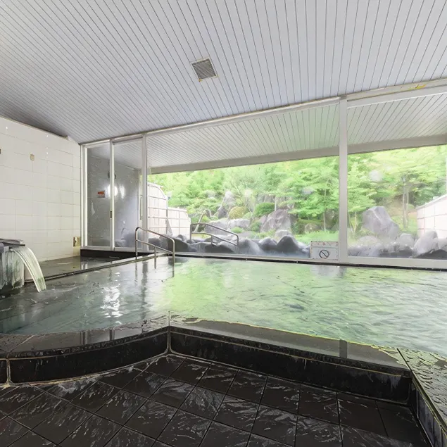 Higashiyama Onsen Maple Plaza - Image 1