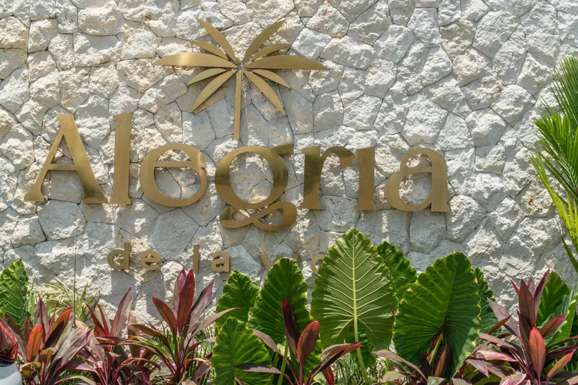 Alegria de la Vida  - Image 1