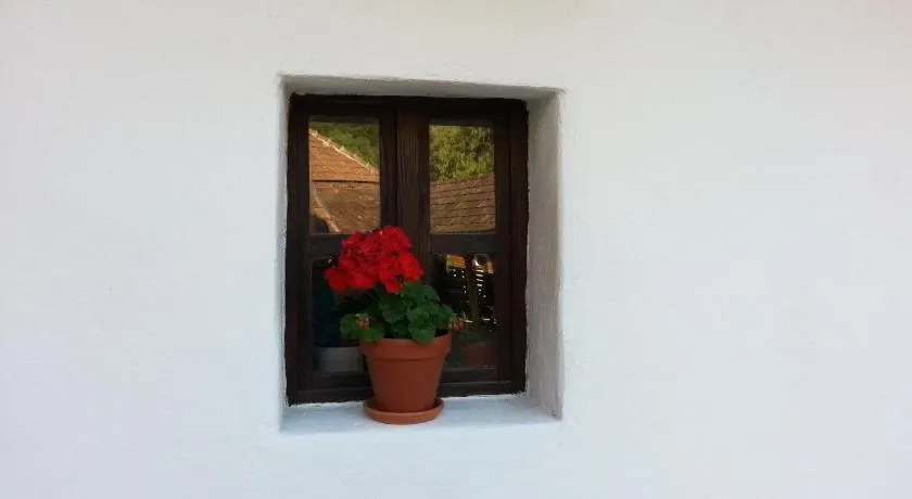Zempléni Pitvaros Pihenő - Image 1