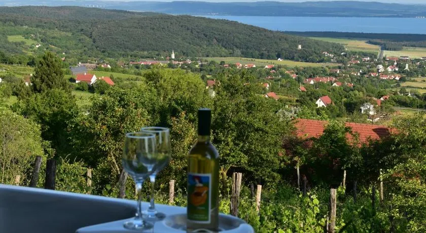 Panoráma Borbirtok - Image 1
