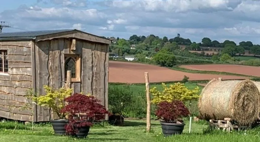 The Queen Bee Cabin - Image 1