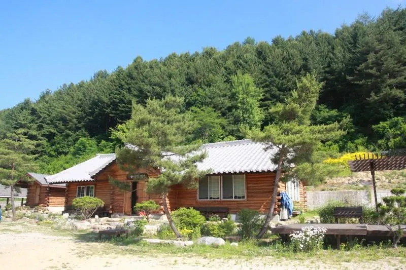 Pyeongchang Hwangtogudeulmaeul Pension - Image 1