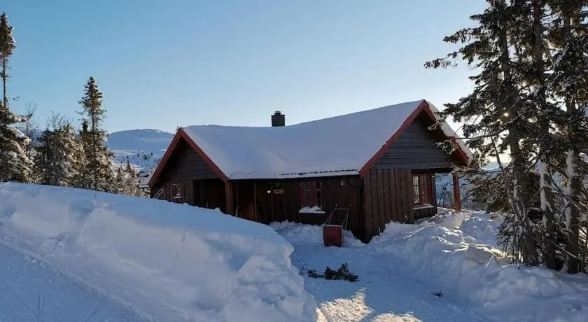 Høyfjellshytte - Image 1