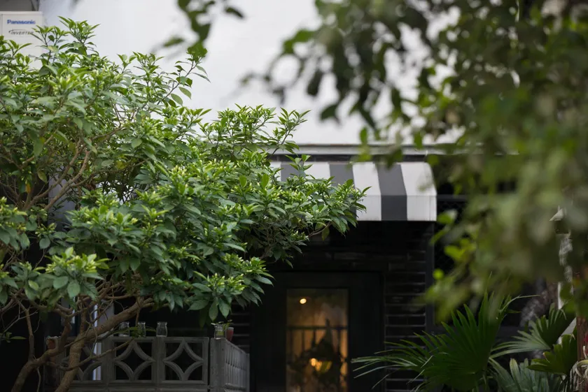 Birdeye Garden - Image 1