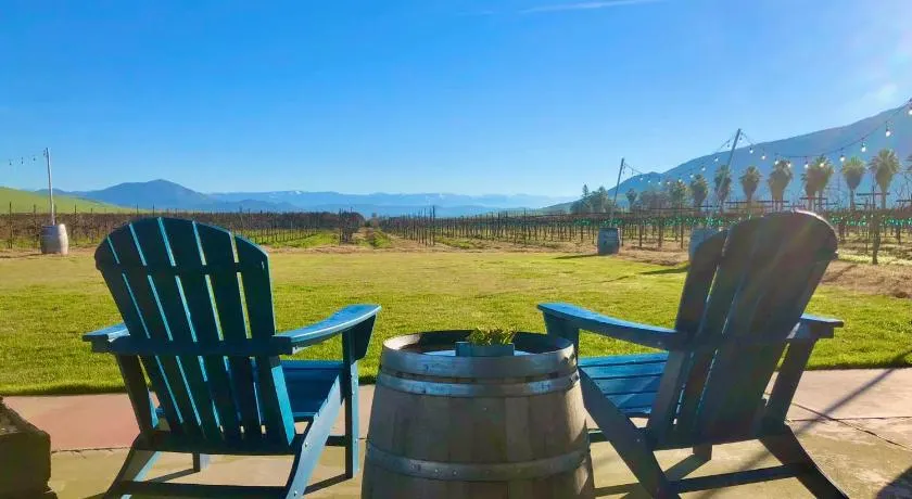 Sequoia View Vineyard - Image 1
