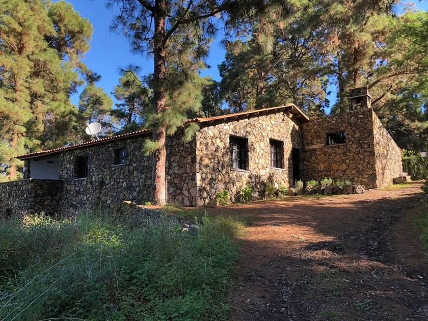 Monte frio de Tenerife - Image 1