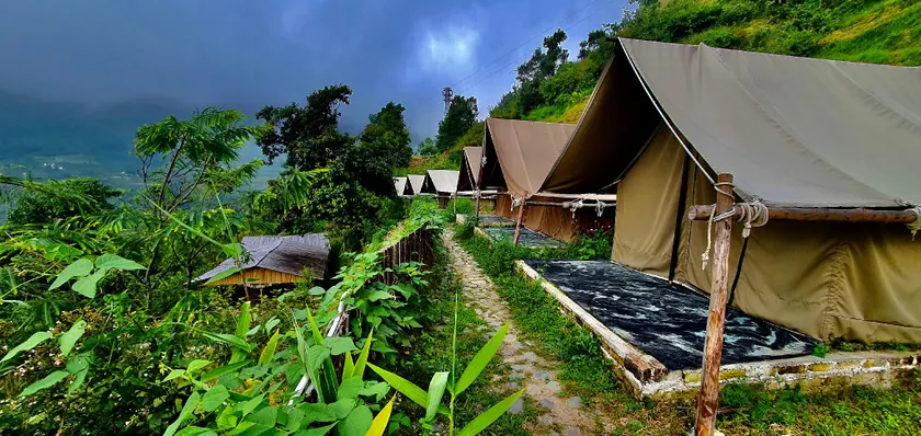 Friends camping - Image 1