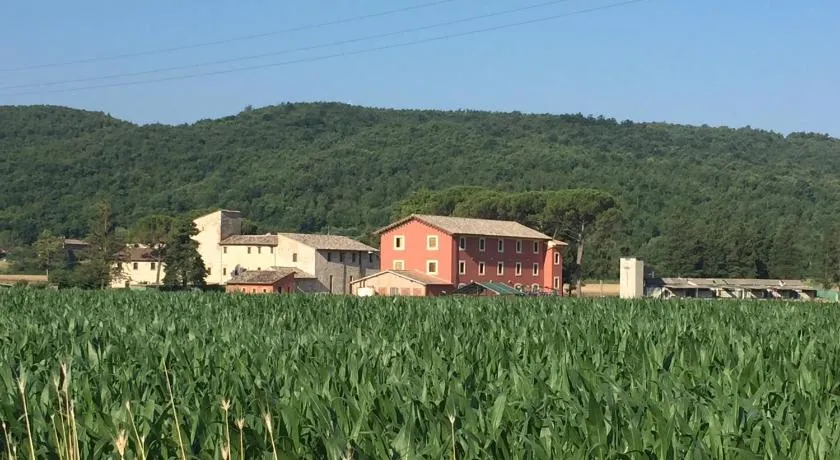 Rosso Porpora - Image 1