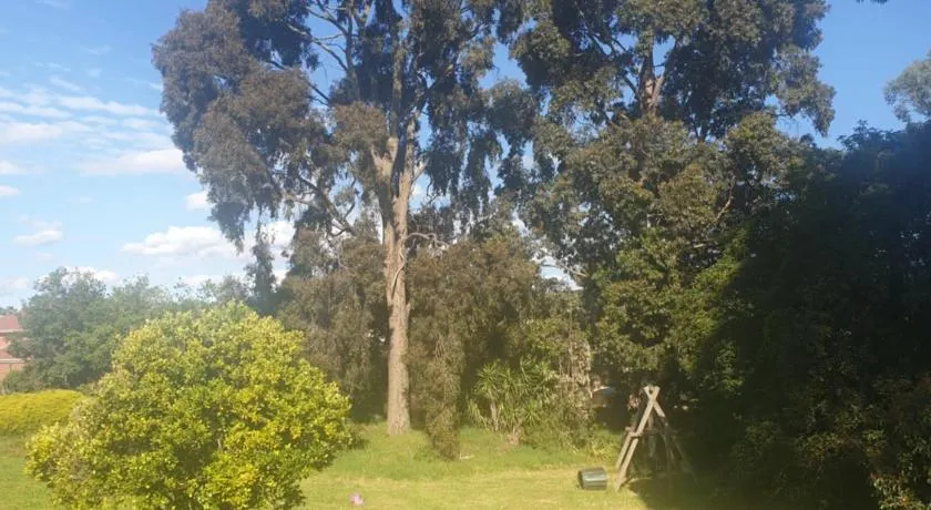 Country breeze - Image 1