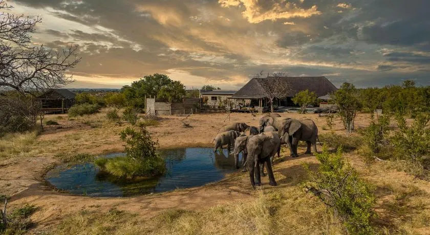 Imagine Africa Luxury Tented Camp - Image 1