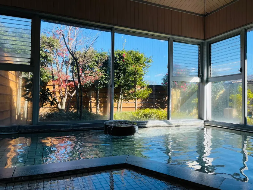Seseragi-No-yu Sakuraya Sakuemon - Image 1