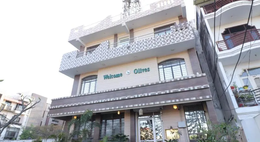 Welcome Olives - Image 1