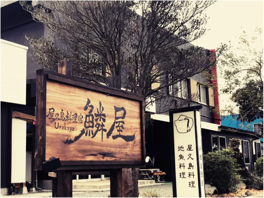 Yakushima Ryori Yado Urokoya - Image 1