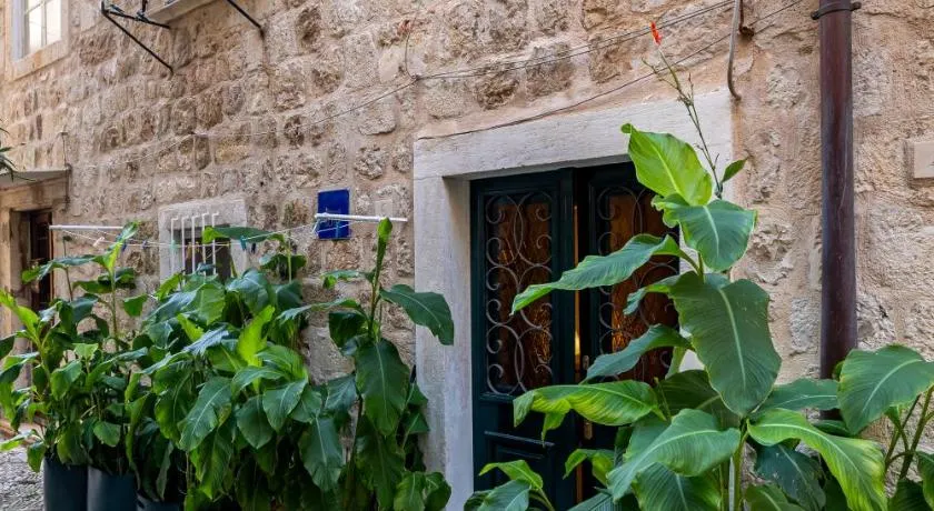 B&B BUZA HOUSE - Image 1