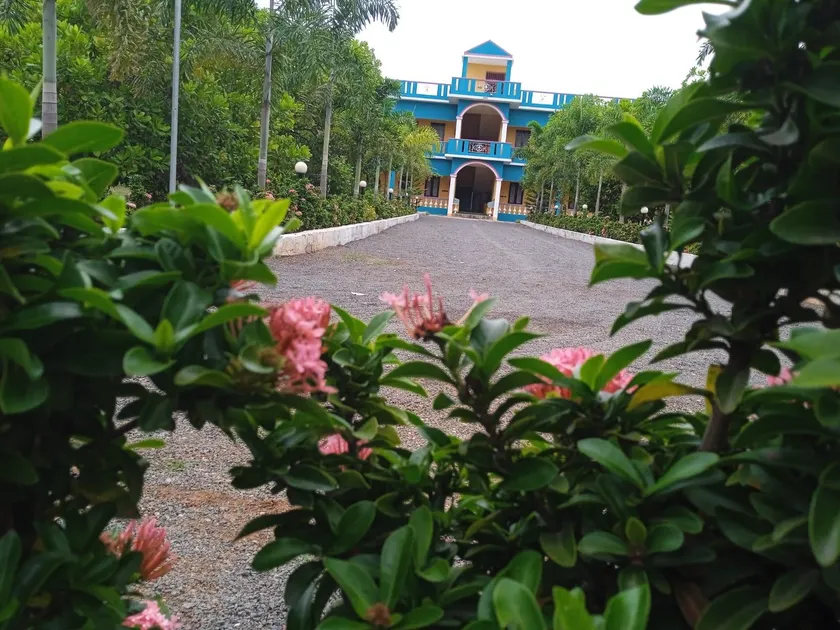 Paradise Forest Resort - Image 1