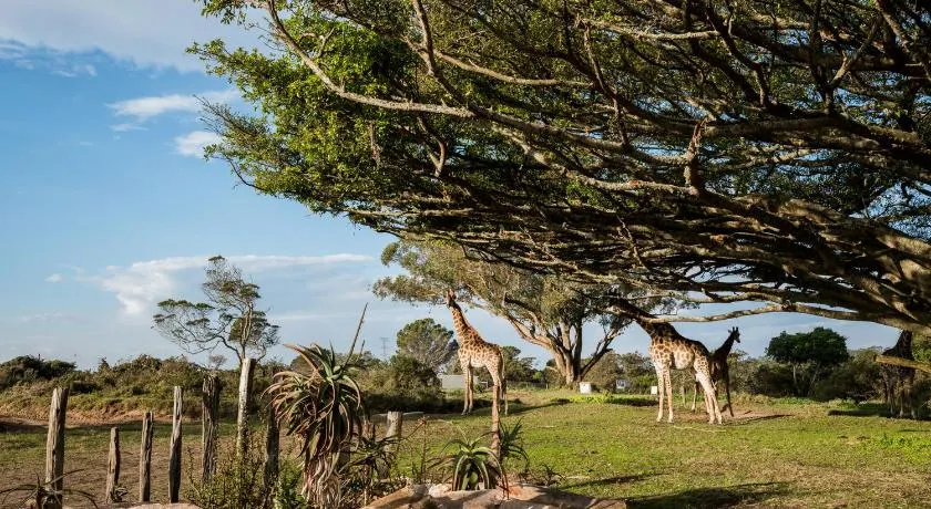 Kragga Kamma Game Park - Image 1