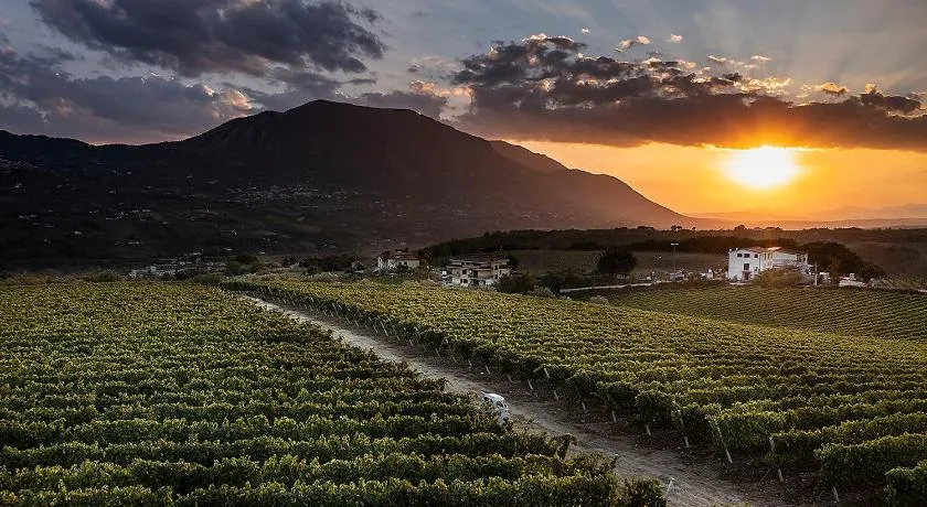 Giardino Delle Oche - Ocone Taburno Wine County - Image 1