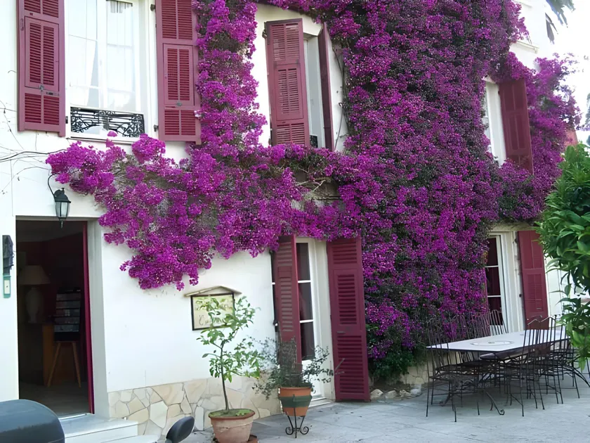 Castel Enchanté - Image 1