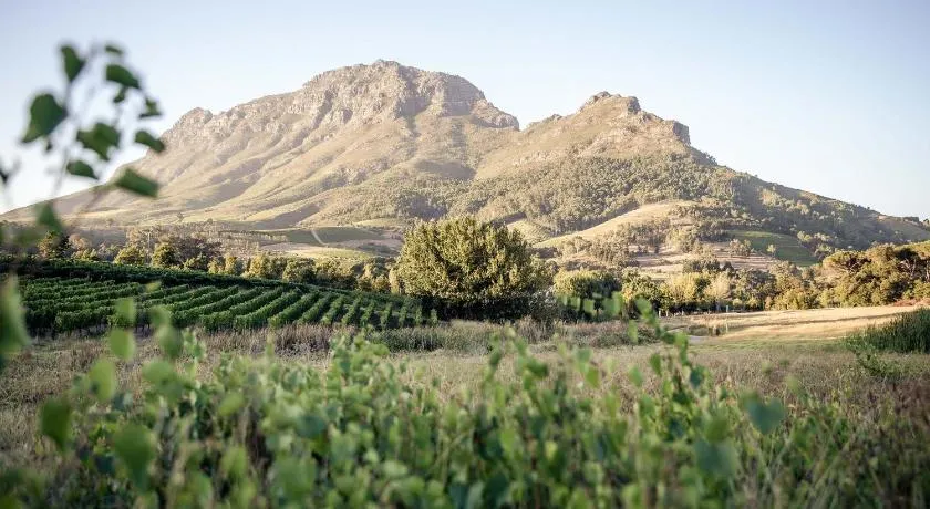 Le Pommier Wine Estate - Image 1
