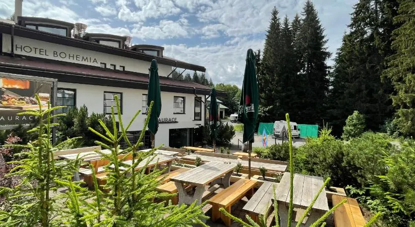 Hotel Bohemia - Image 1