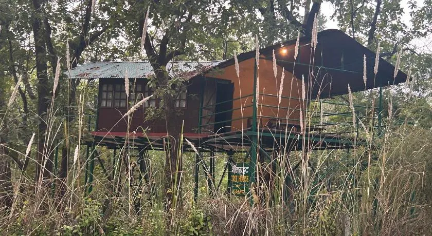 Treehouse at Kamp - Image 1