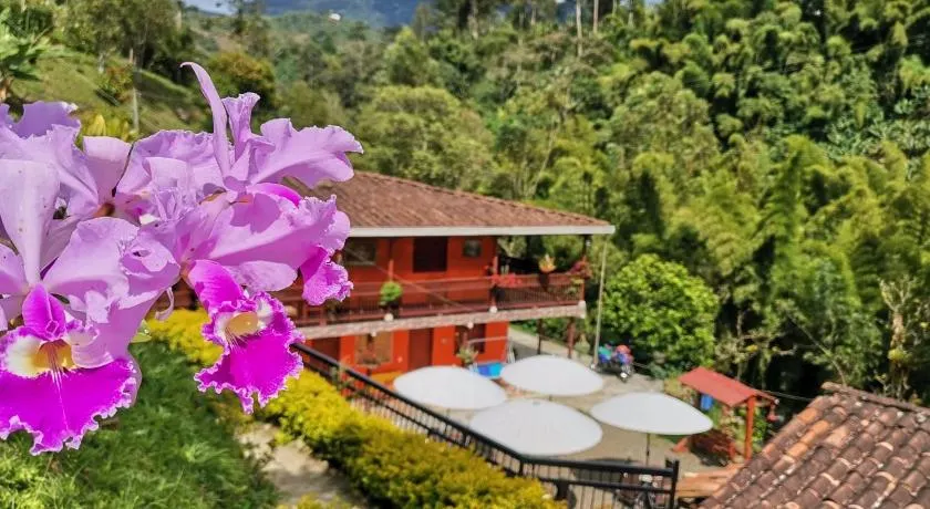 Hotel Orillas del Pizano - Image 1