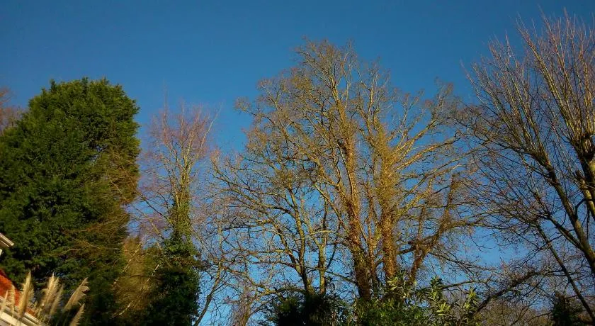 Thornybank - Image 1