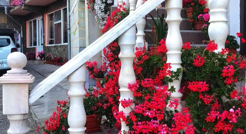 Cazare Nely - Image 1