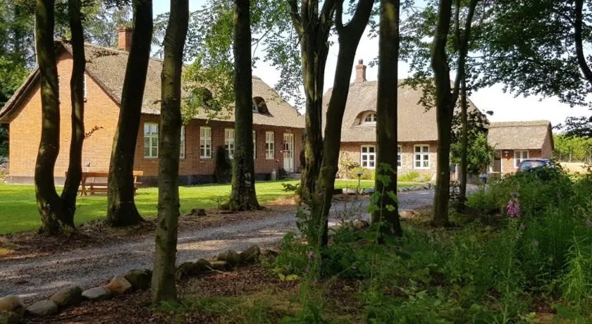 Agerfeld gl. skole - Image 1