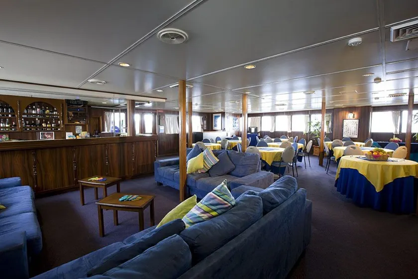 Reef Encounter - Image 1