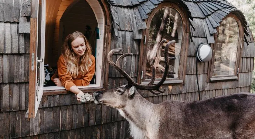 Igluhut – Sleep with reindeer - Image 1
