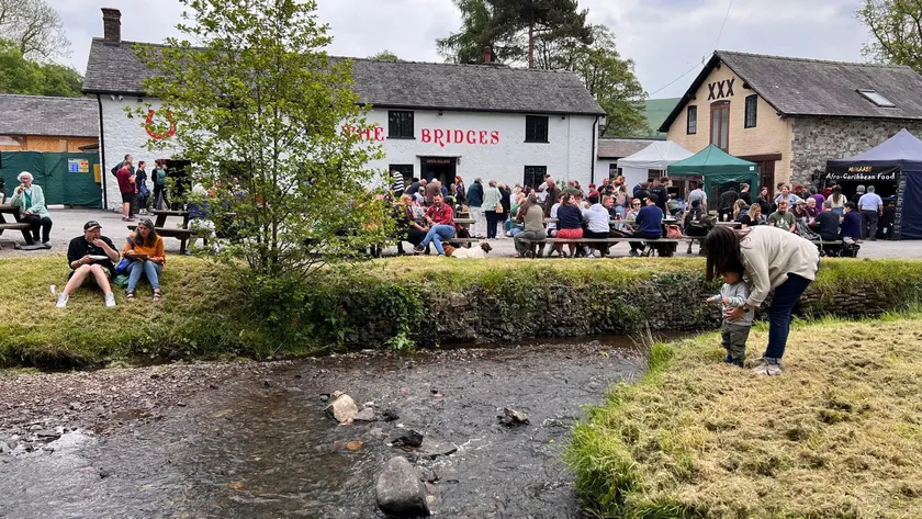 The Bridges - Image 1