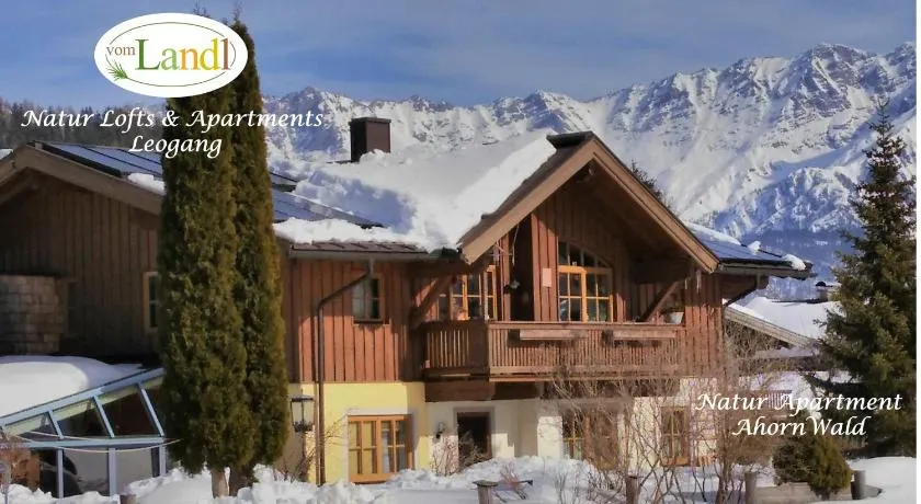 103 m2 Apartment EschenWald vomLandl Leogang - Image 1